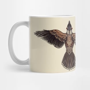 Red Wattlebird Mug